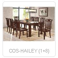 COS-HAILEY (1+8)